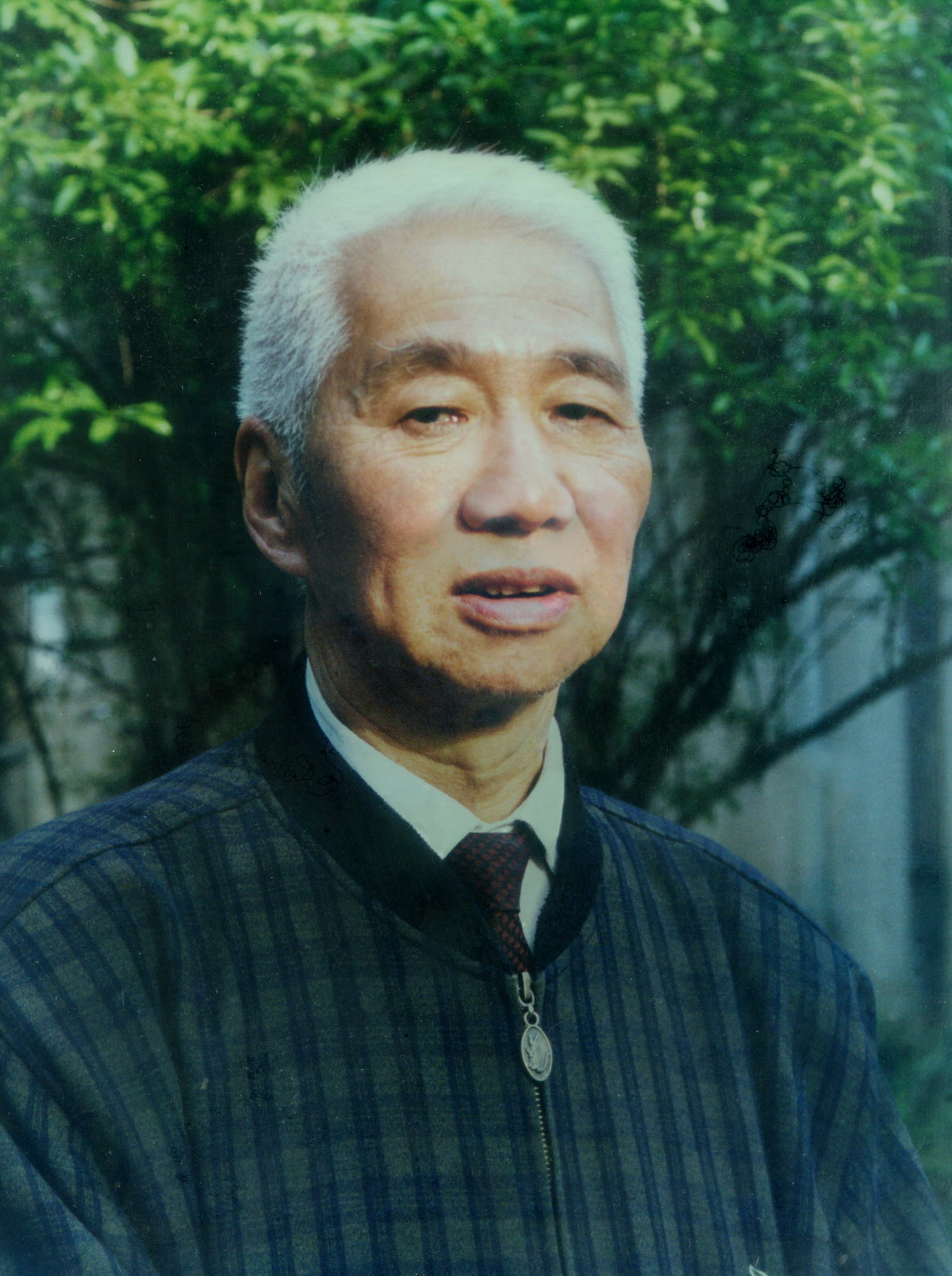 出于视觉效果考虑,此图片已缩小;点击图片打开原图